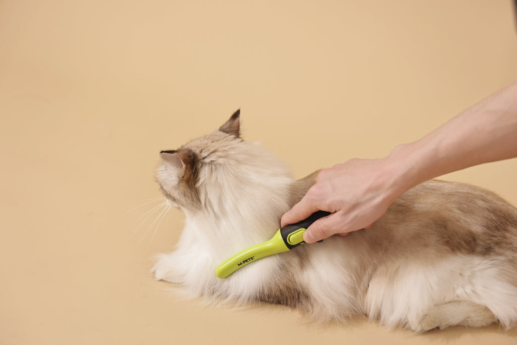 CLICK AND GROOM Curved brush