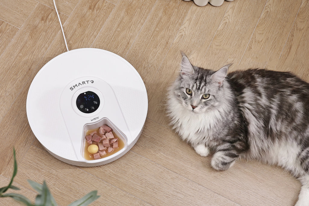 SMARTO M900 Distributore Automatico di Cibo Refrigerato per 6 Pasti