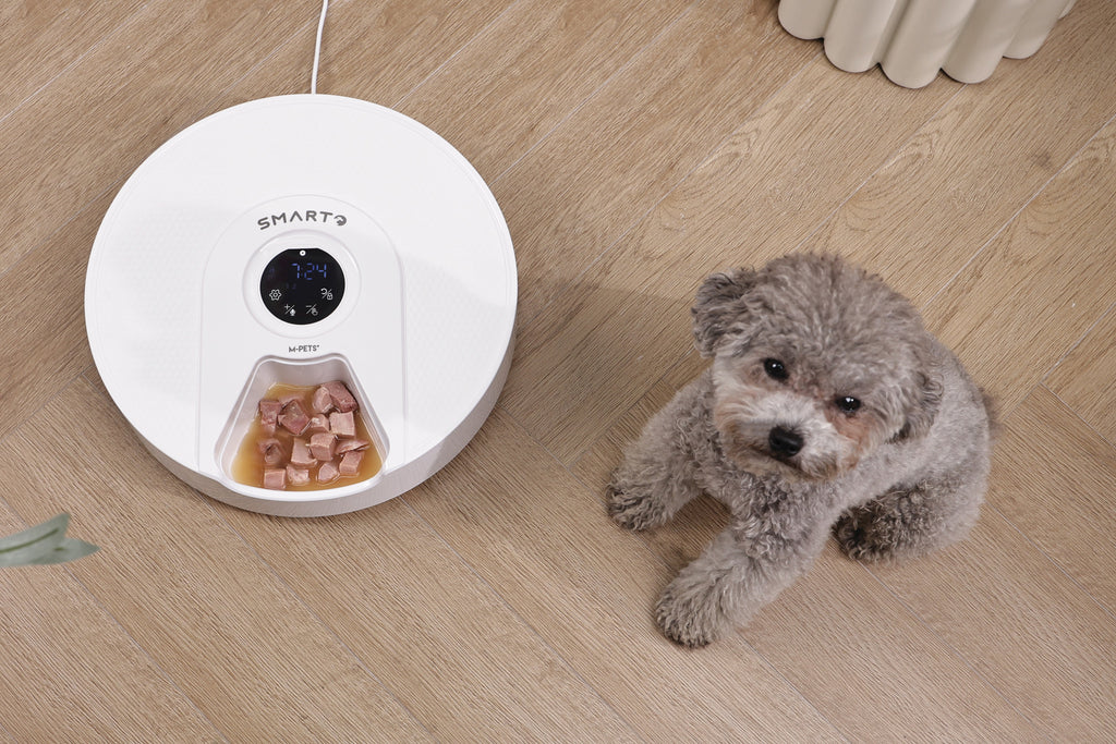 SMARTO M900 Distributore Automatico di Cibo Refrigerato per 6 Pasti