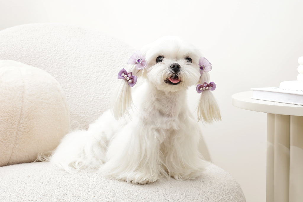 GLAM Accessori per capelli per animali elastico - Viola