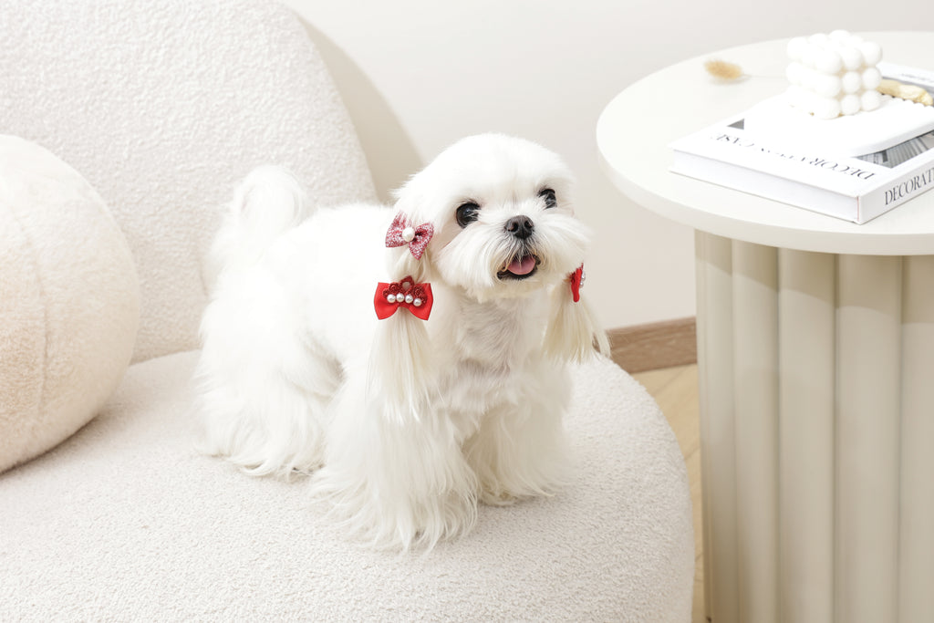 GLAM Accessori per capelli per animali elastico - Rosso