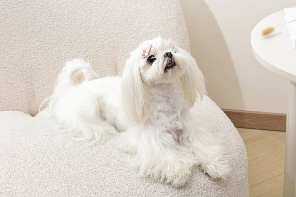 GLAM Accessori per capelli per animali clip - Rosa