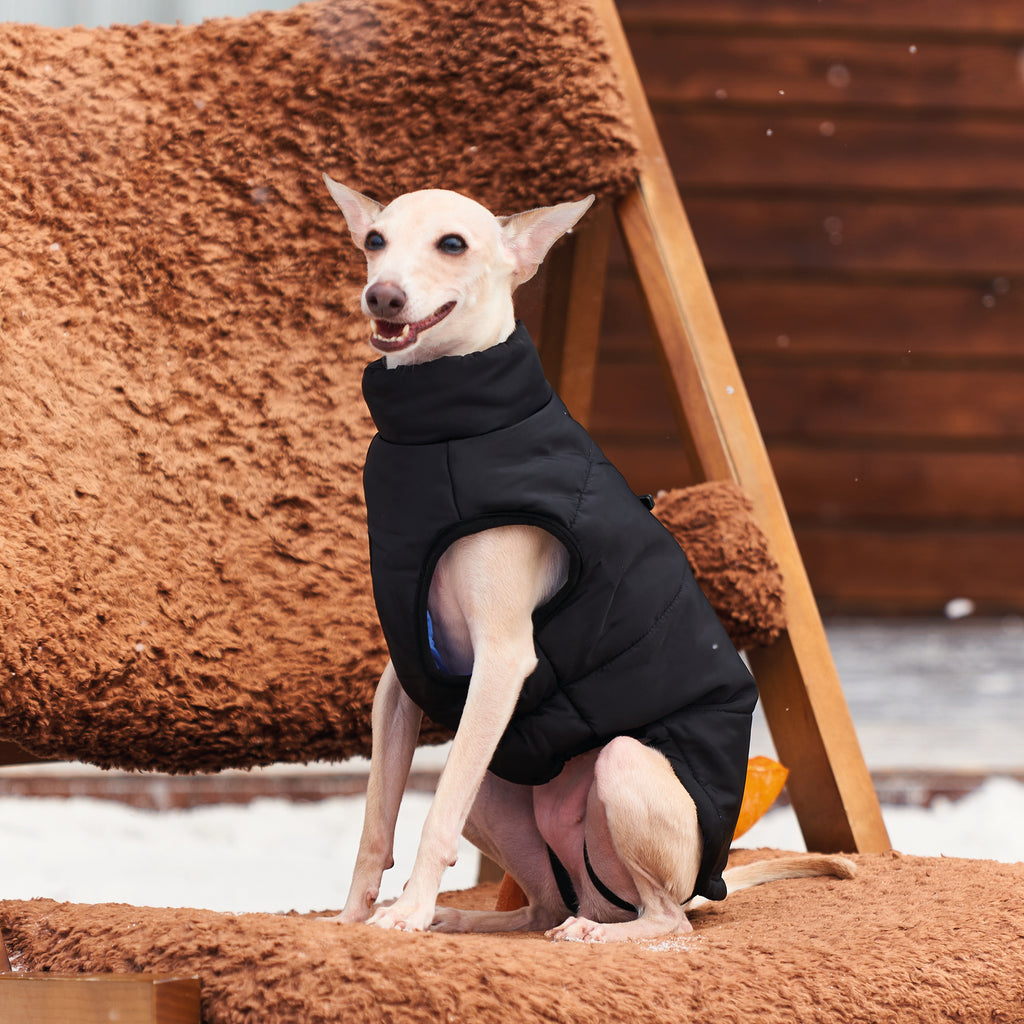 GENTLE DOG Giacca Invernale Nero&Blu