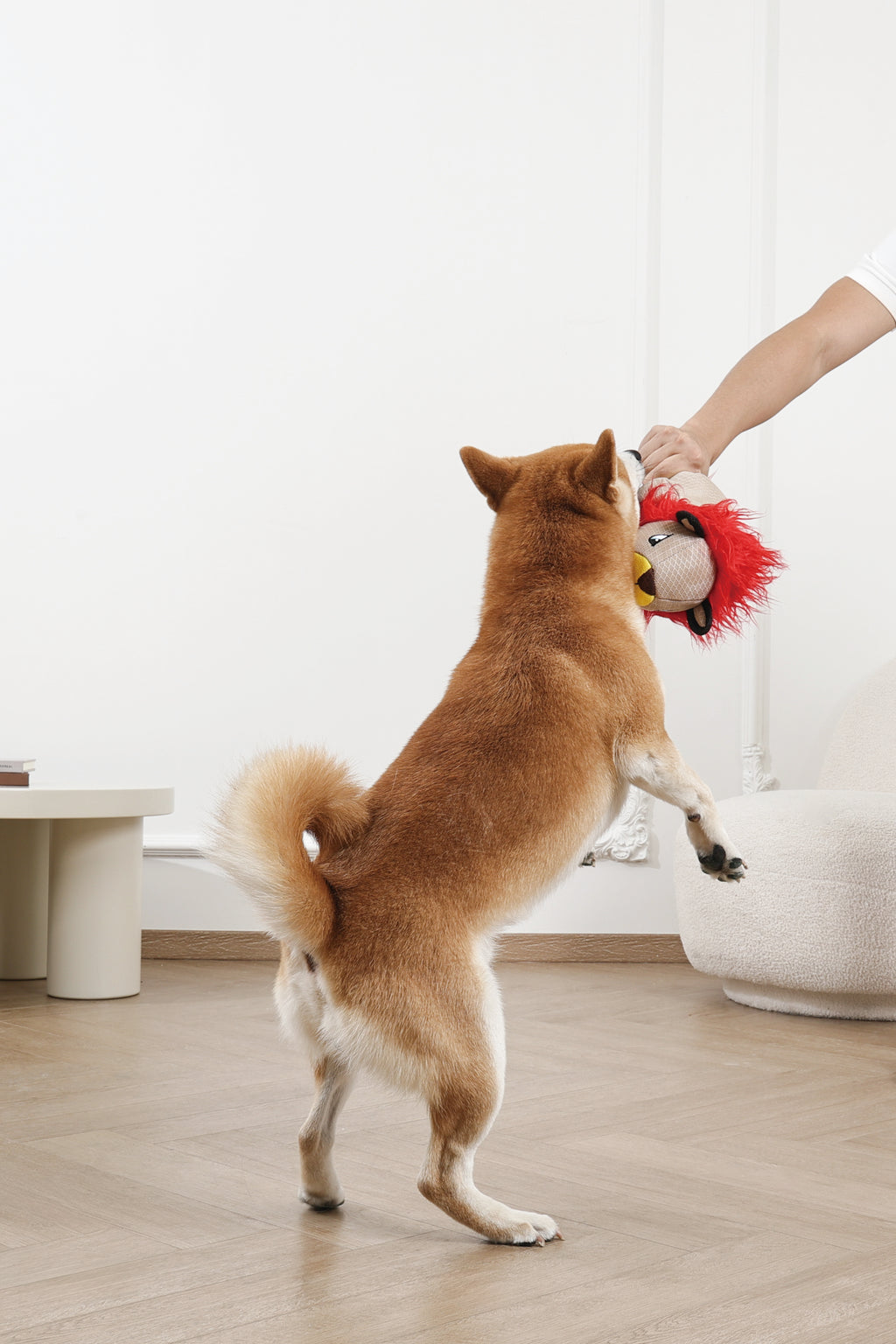 MEGA Dog toy Lion