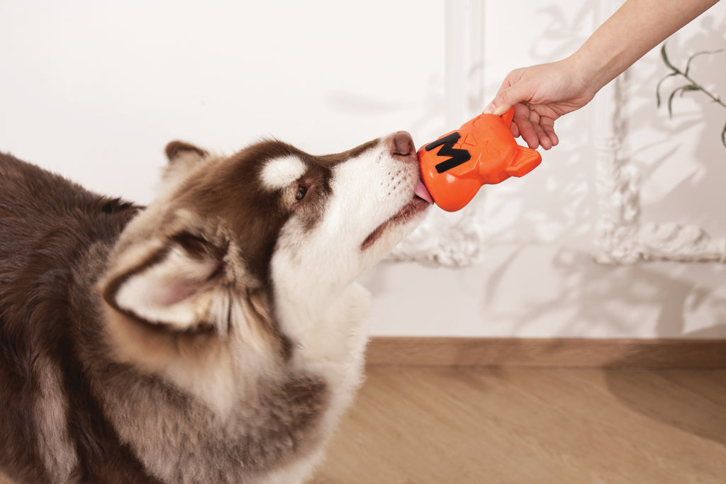 POWER CHEW Dog toy Citrine