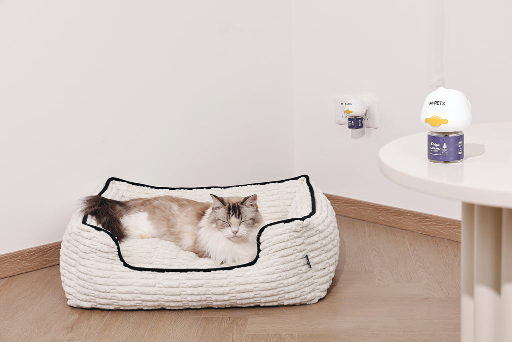 KEEP CALM - Diffusore di feromoni calmanti per gatti - 48ml