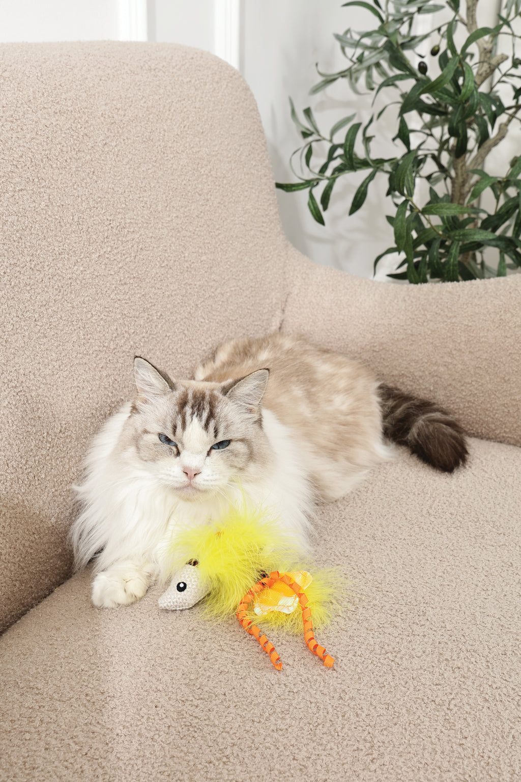 Plume catnip toy Yellow fish