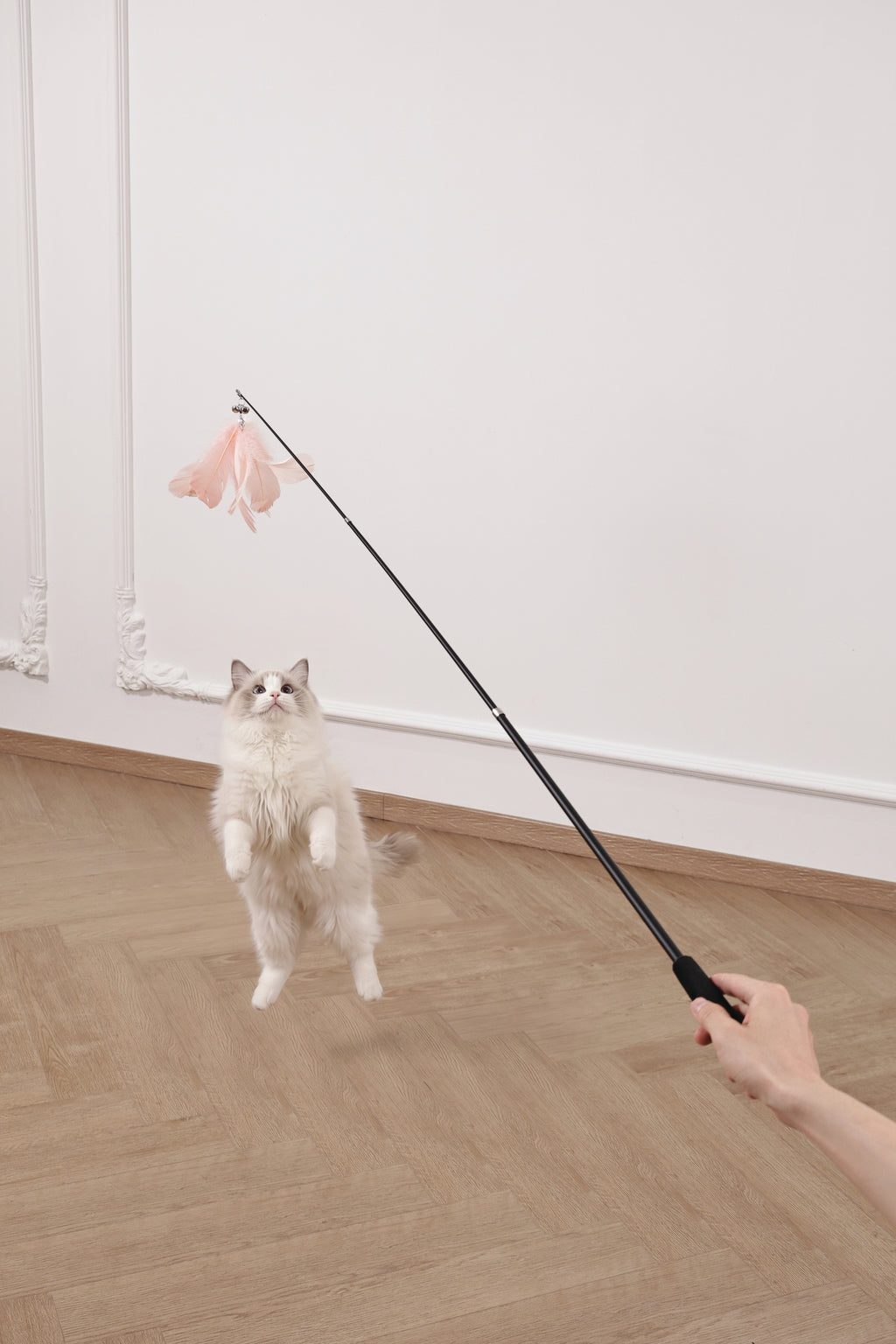 Moon cat Telescopic cat wand 3 sections Moonveil Whisper