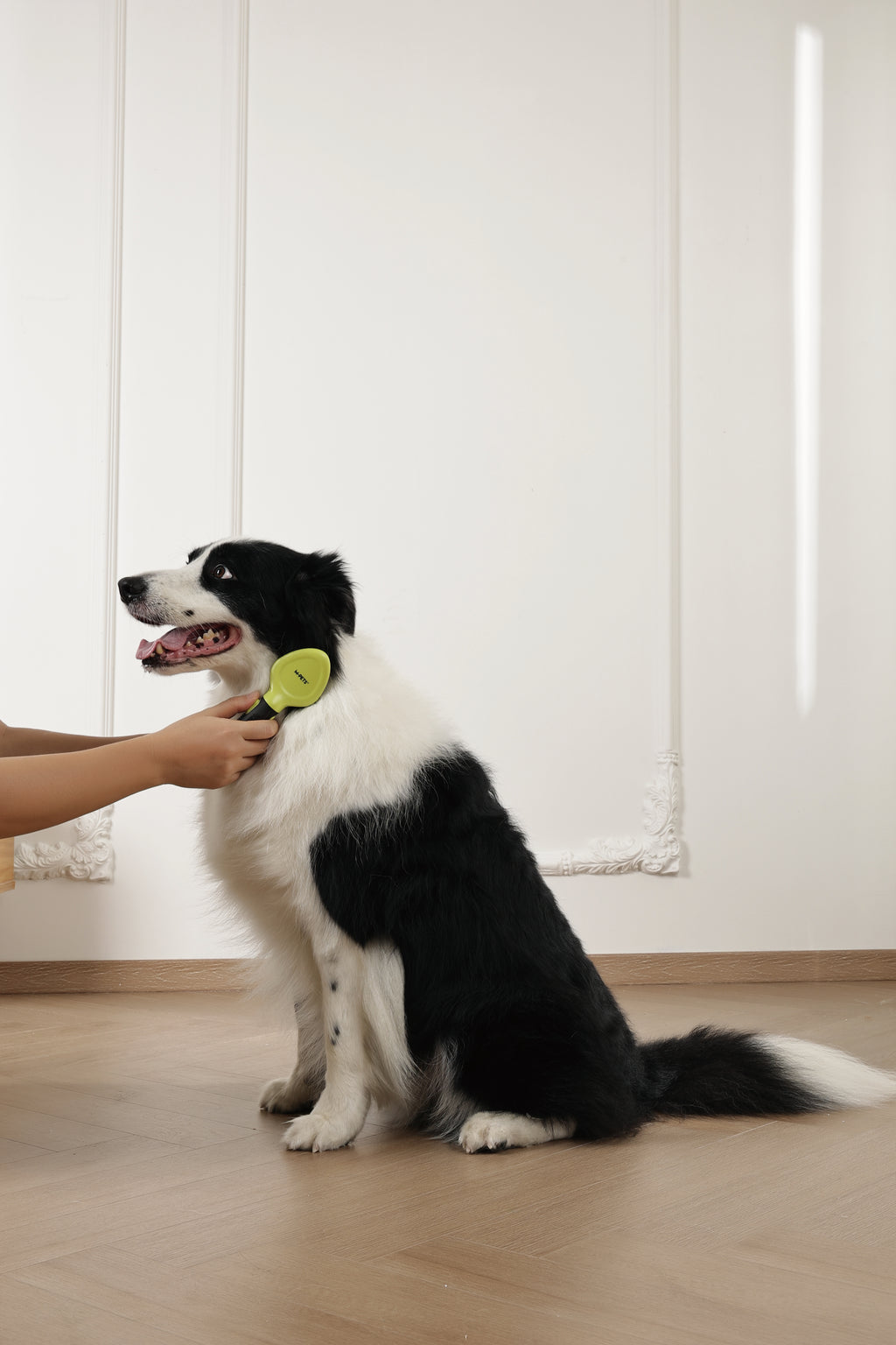 CLICK and GROOM Slicker Brush