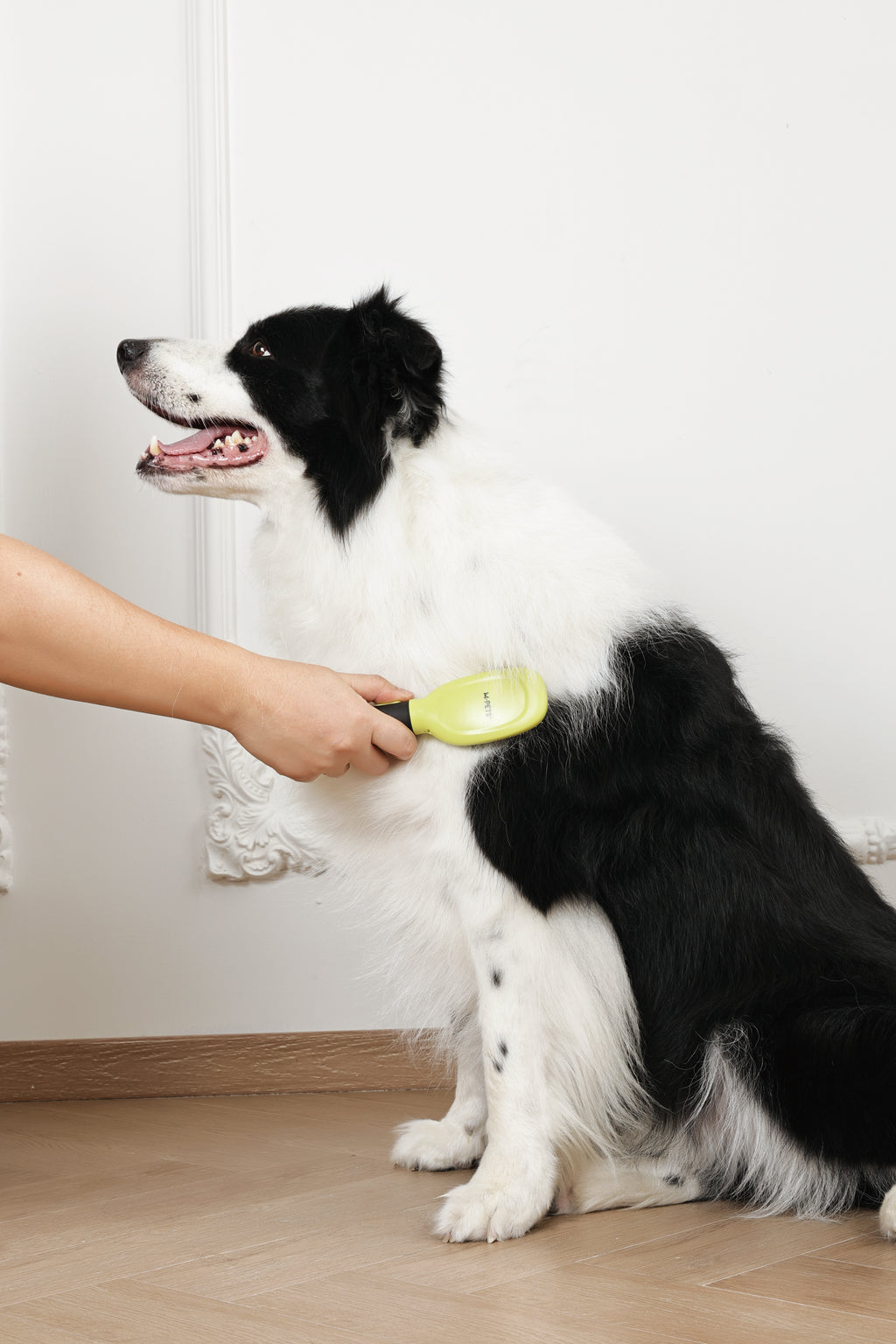 CLICK and GROOM Pin Brush