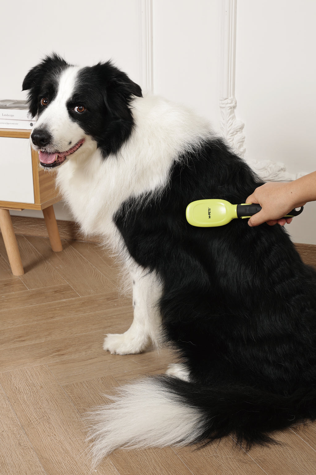 CLICK and GROOM Bristle Brush