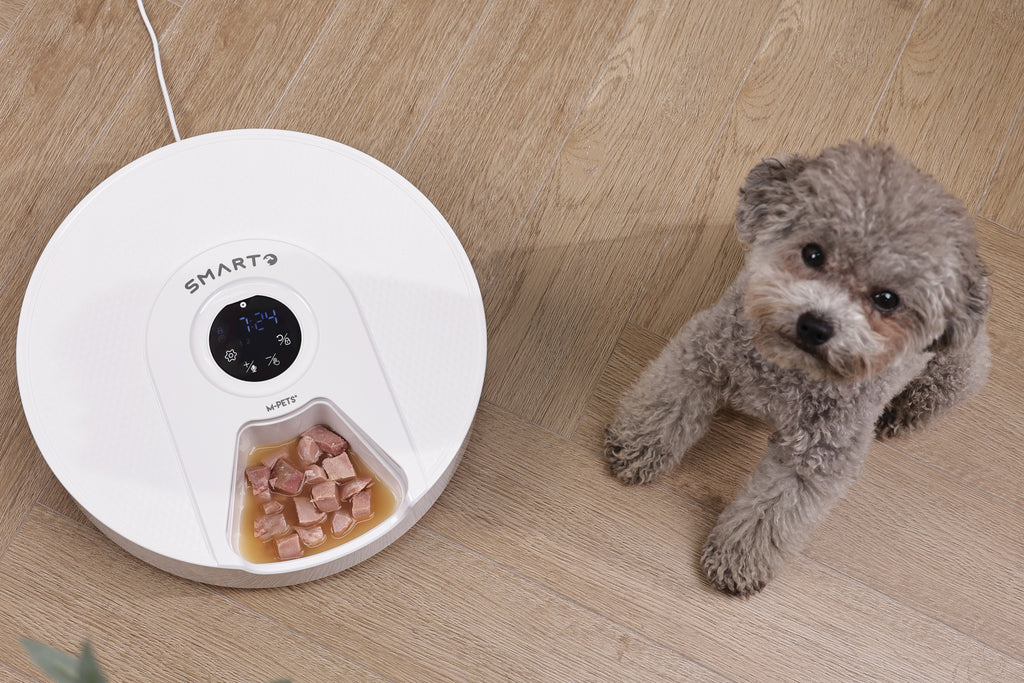 SMARTO M900 Distributore Automatico di Cibo Refrigerato per 6 Pasti