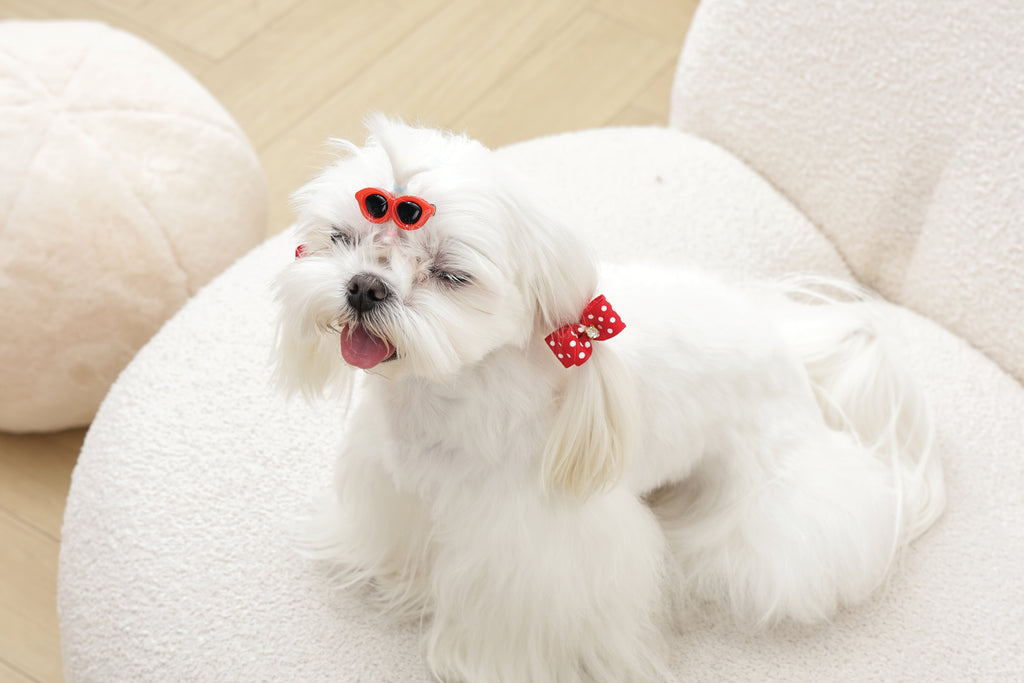 GLAM Accessori per capelli per animali clip e elastico - Rosso