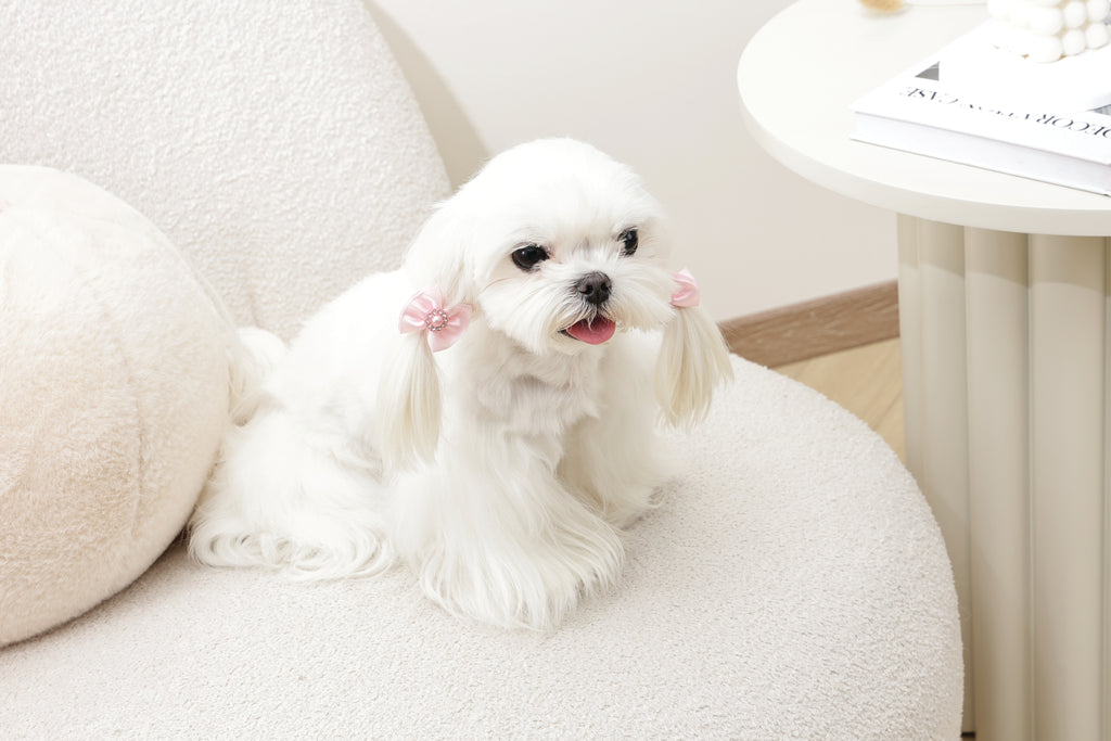 GLAM Accessori per capelli per animali elastico con perla - Rosa