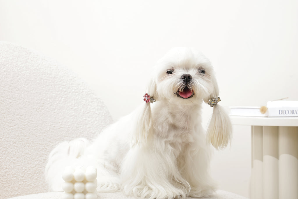 GLAM Accessori per capelli per animali clip a forma di fiore - Rosa e Bianco