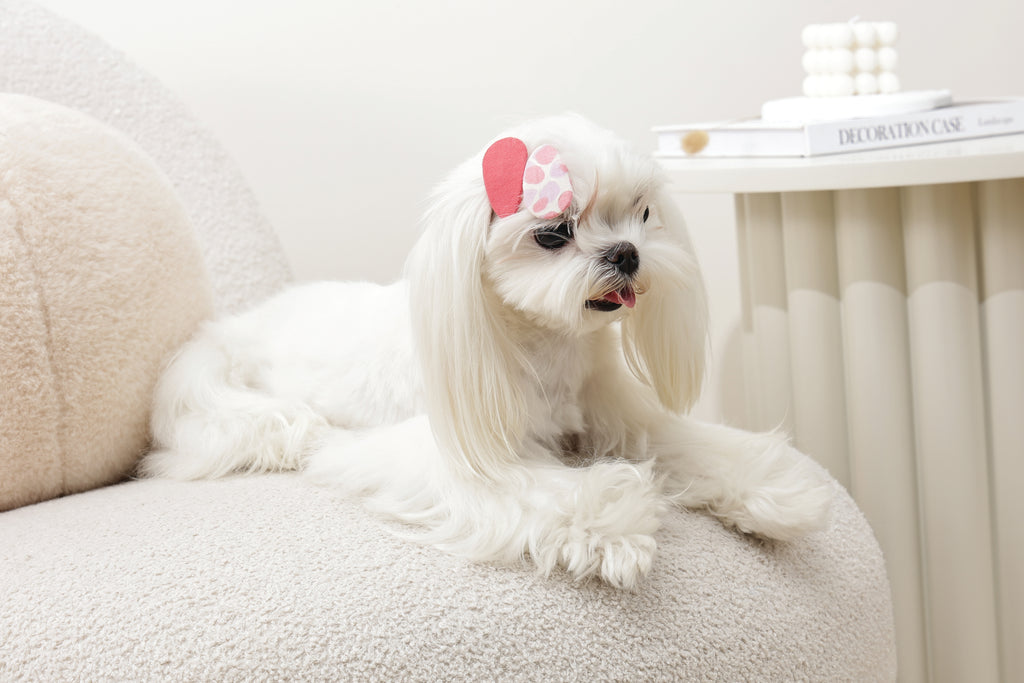 GLAM Accessori per capelli per animali clip - Rosso