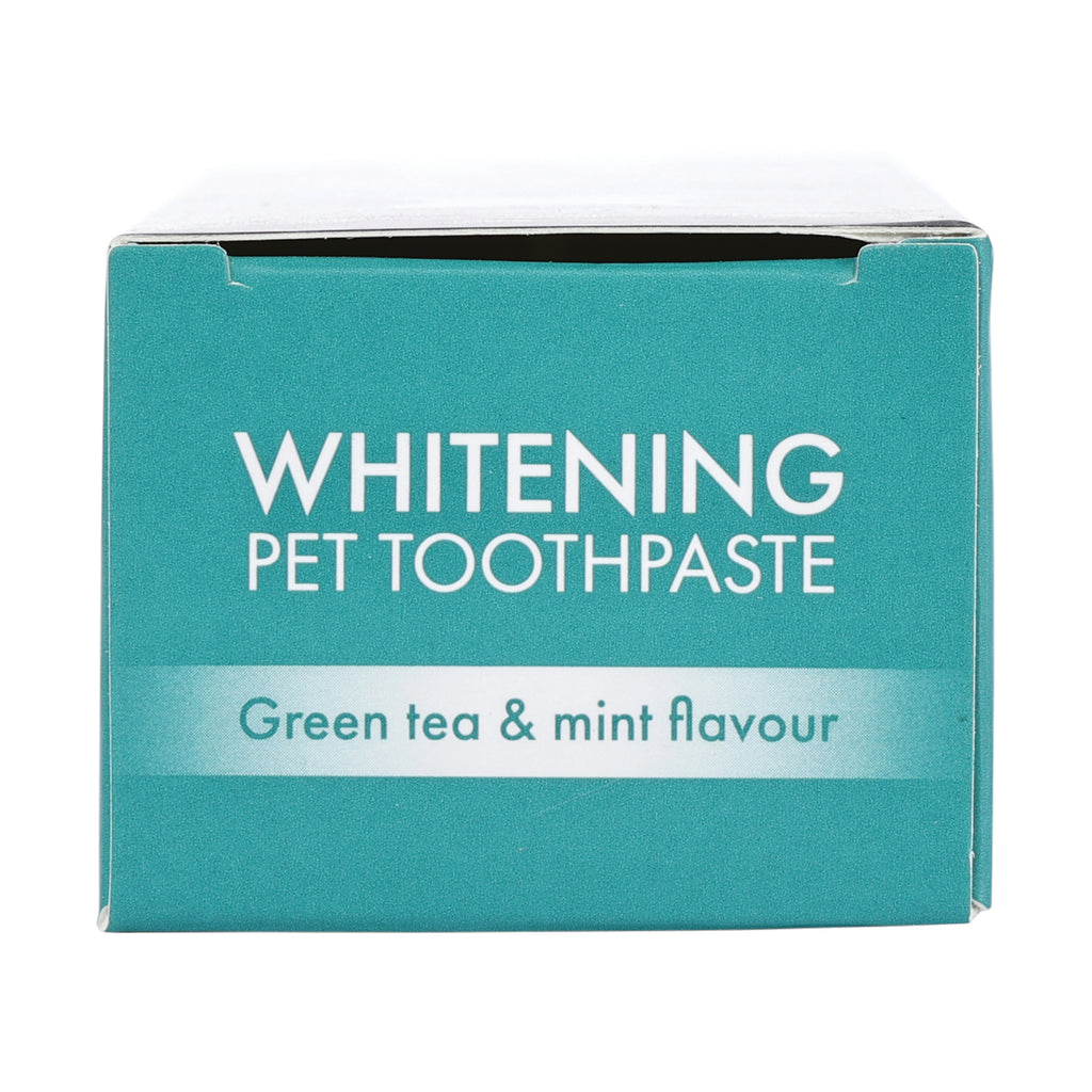 DENTAL CARE PRO WHITENING toothpaste Green tea&mint