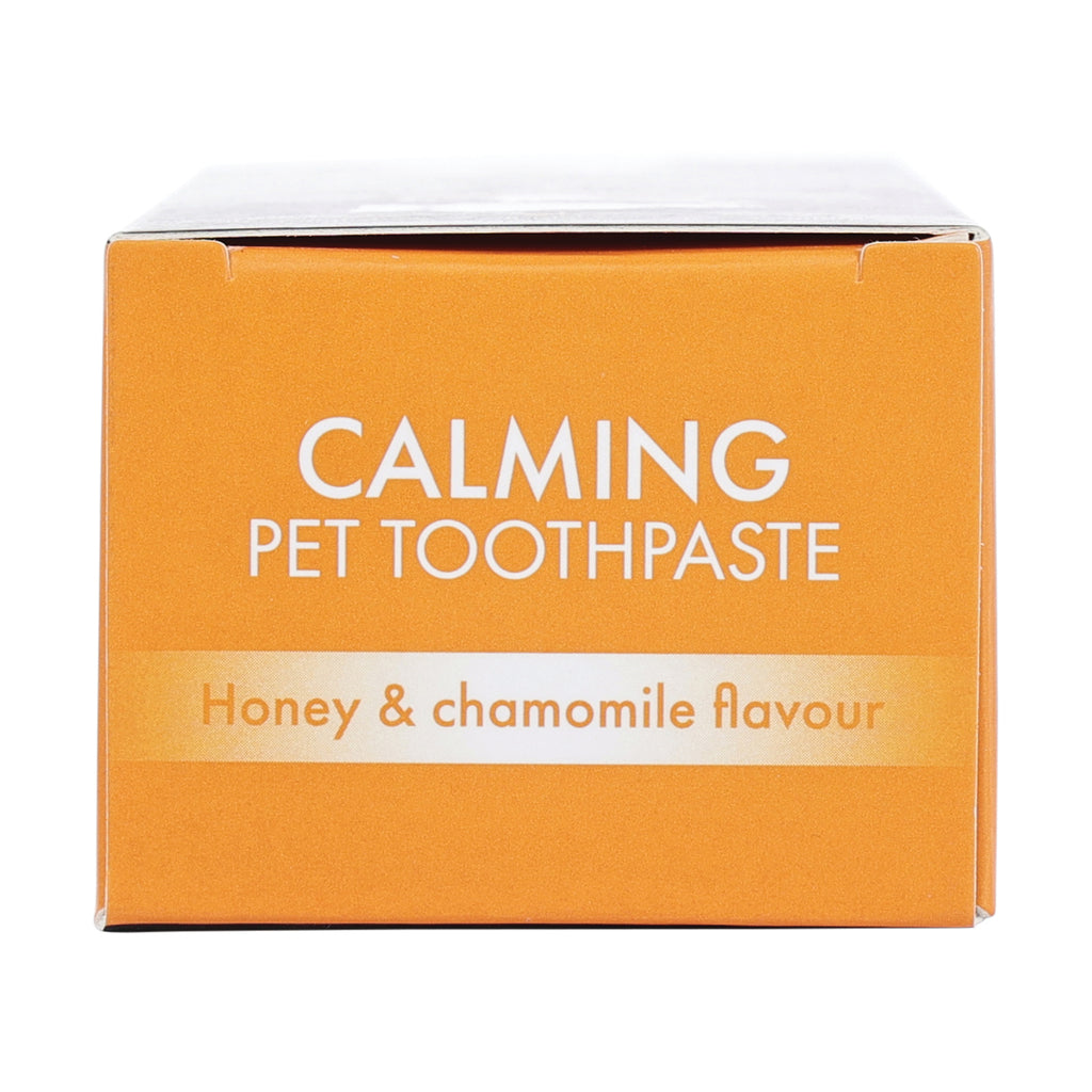 DENTAL CARE PRO Calming toothpaste HONEY&CHAMOMILE