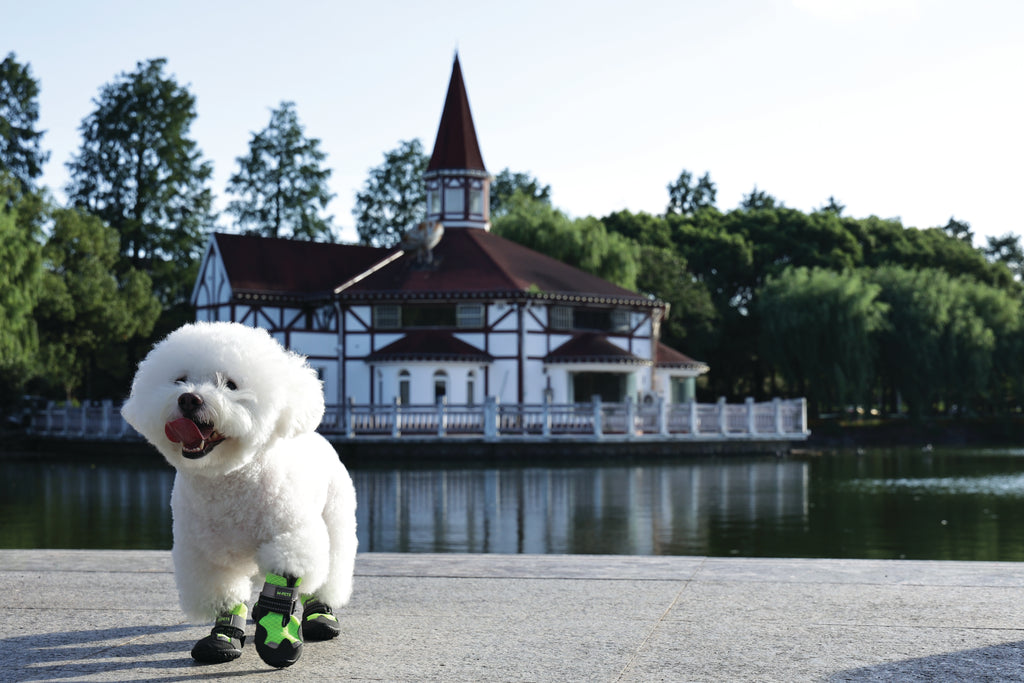 FLEXI SHOES Dog - Green edition