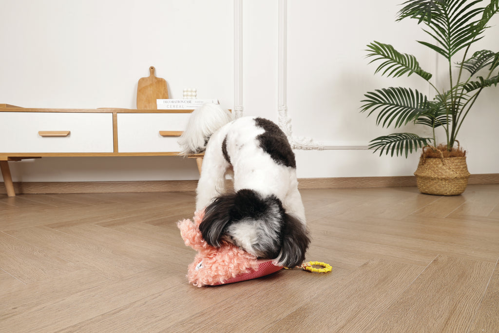Slippers Dog toy Bunny
