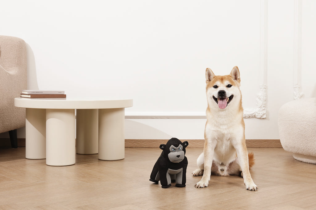 MEGA Dog toy Ape