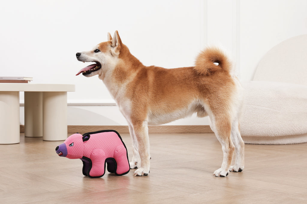 MEGA Dog toy Polar bear