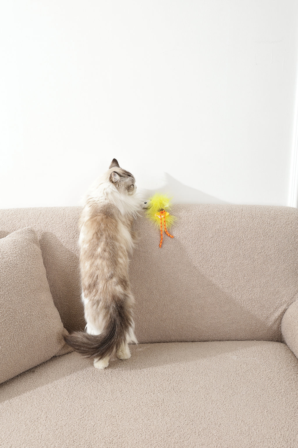 Plume catnip toy Yellow fish