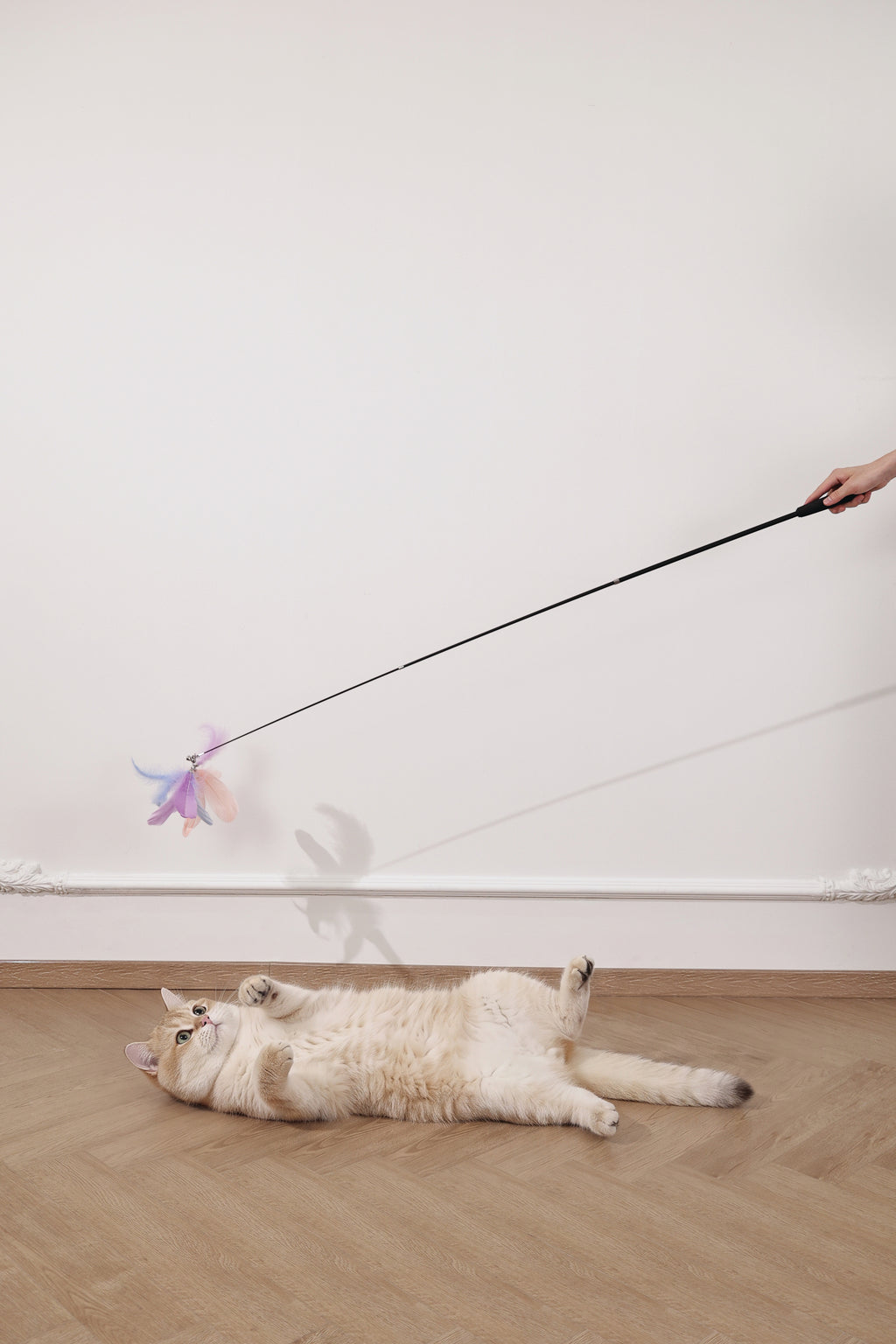 Moon cat Telescopic cat wand 3 sections Moonveil Whisper