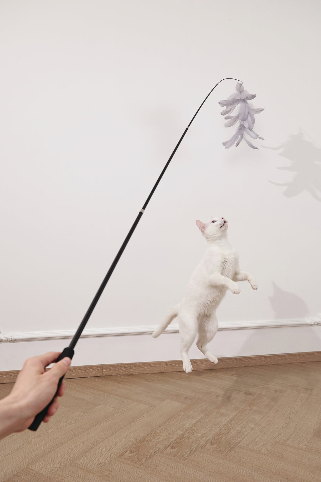 Moon cat Telescopic cat wand 4 sections Stardust Cascade