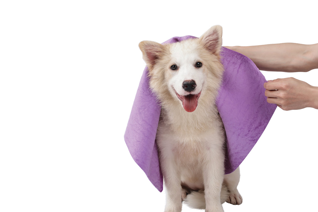 BATHTIME Quick-dry Towel for Cats and Dogs Purple Bubble