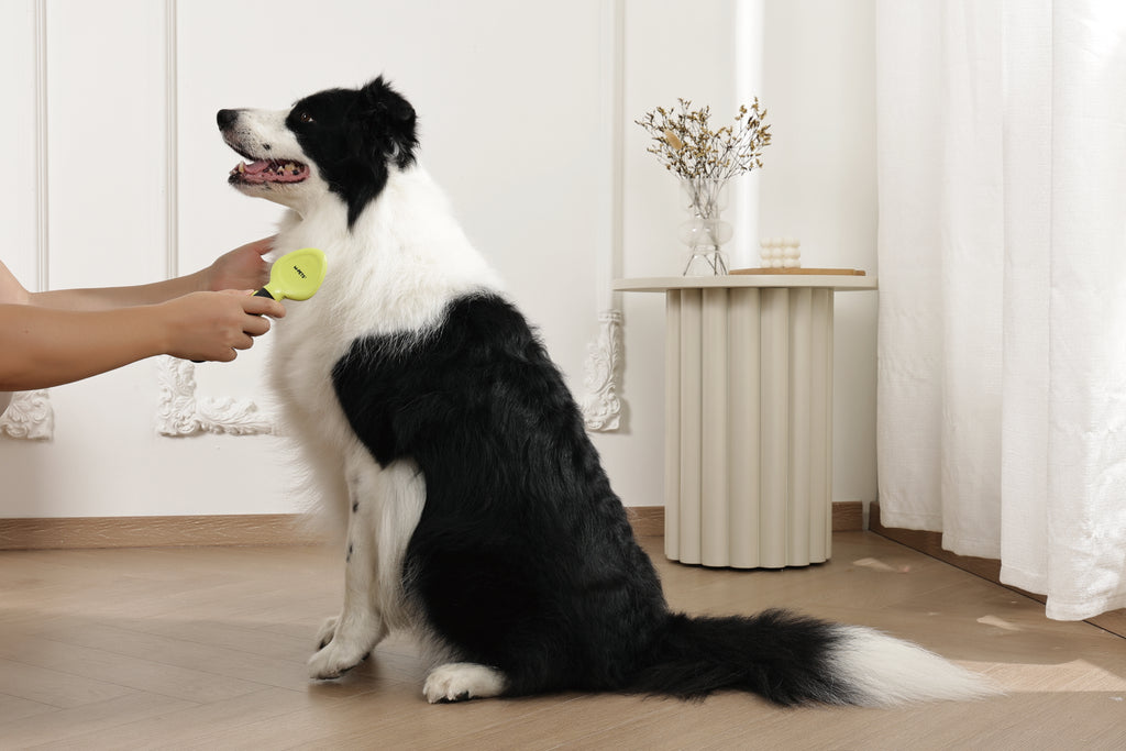 CLICK and GROOM Slicker Brush