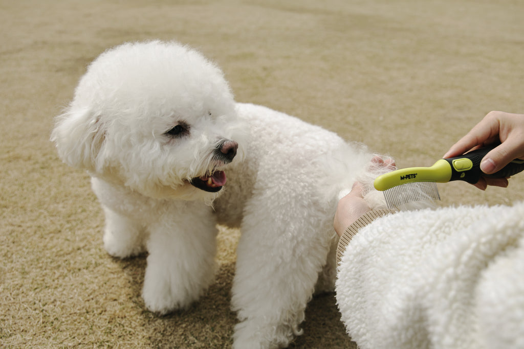 CLICK AND GROOM Curved brush
