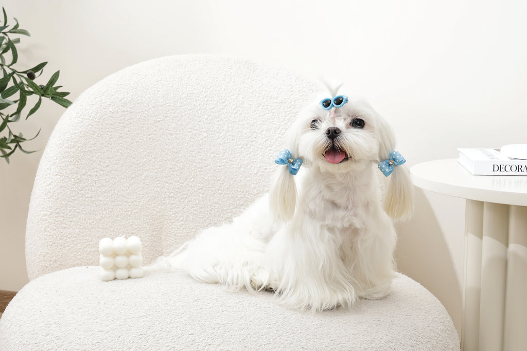 GLAM Accessori per capelli per animali clip e elastico - Blu