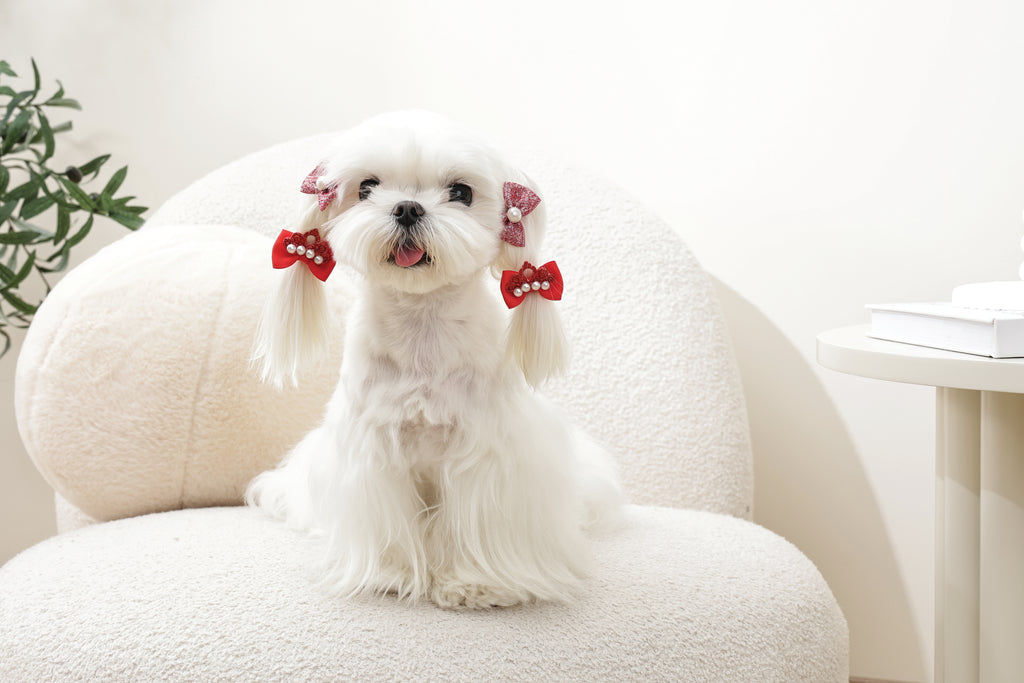 GLAM Accessori per capelli per animali elastico - Rosso
