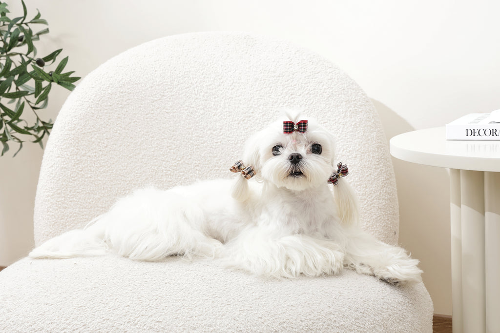 GLAM Accessori per capelli per animali clip e gomma - Rosso
