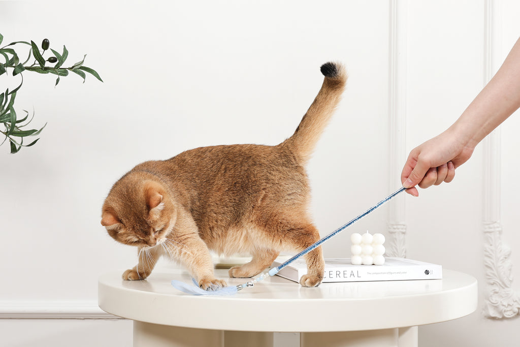 MoonCAT - bacchetta per gatti Piuma Galattica Rosa/Blu Argento e Bianco