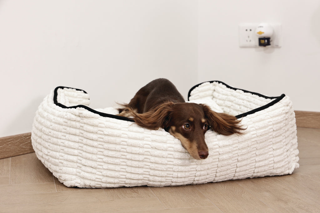 KEEP CALM Calming Pheromone diffuser for DOGS - UK Standard 48ml