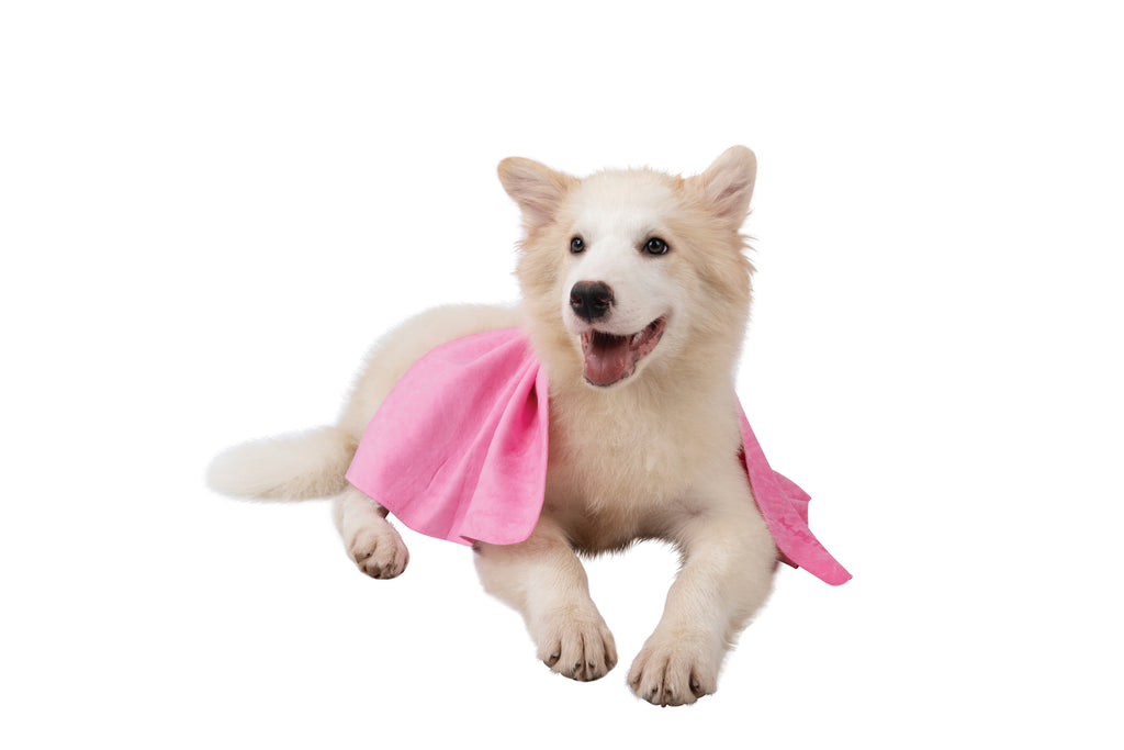 BATHTIME Quick-dry Towel for Cats and Dogs Pink Bubble