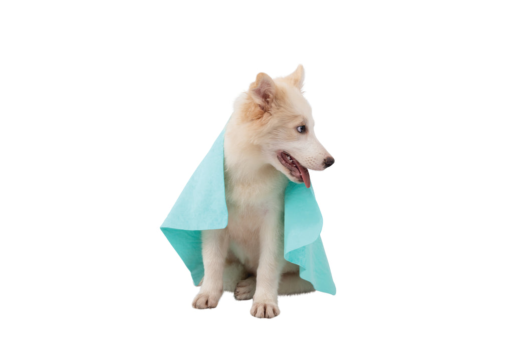 BATHTIME Quick-dry Towel for Cats and Dogs Green Bubble