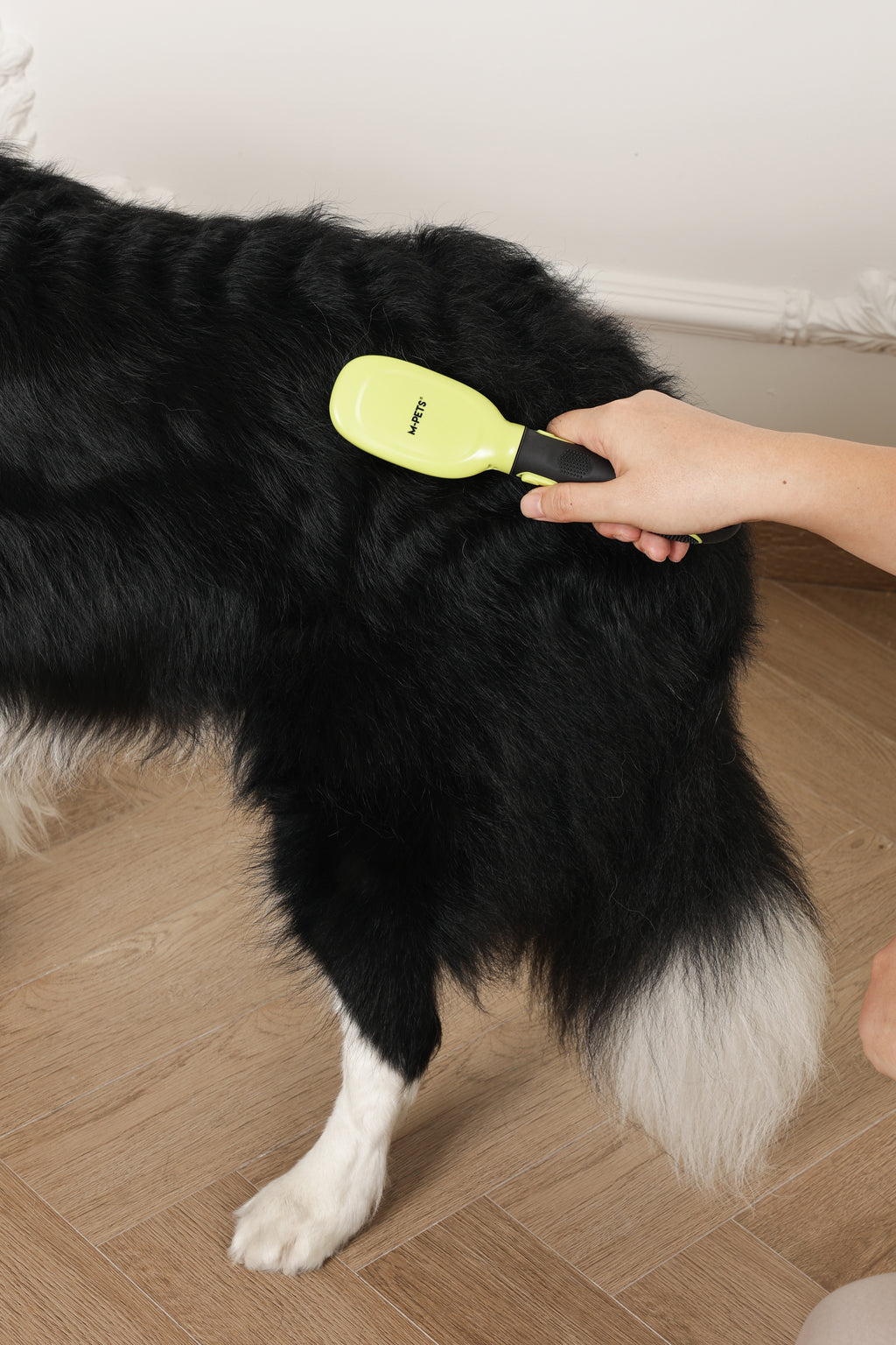 CLICK and GROOM Bristle Brush