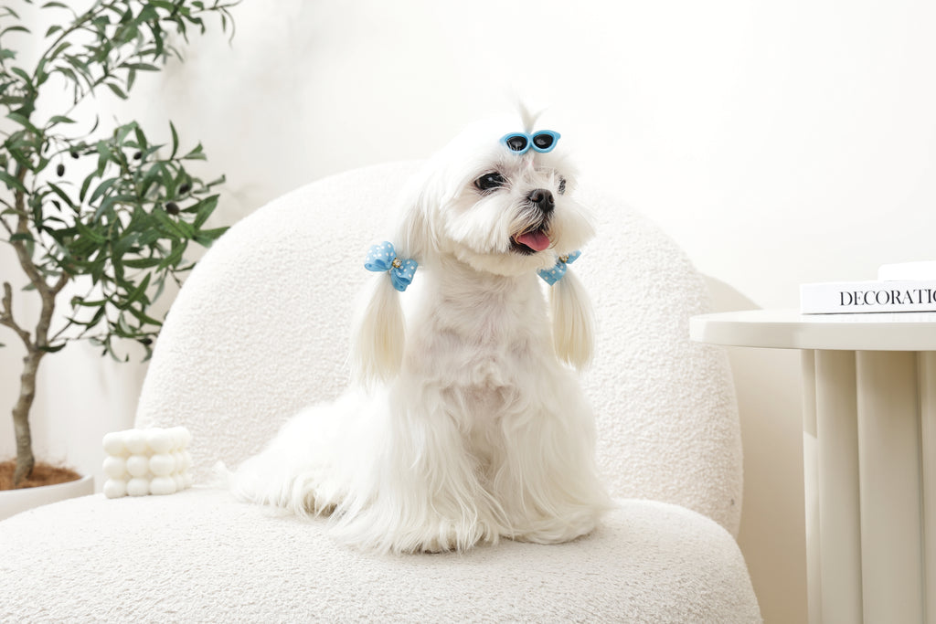GLAM Accessori per capelli per animali clip e elastico - Blu