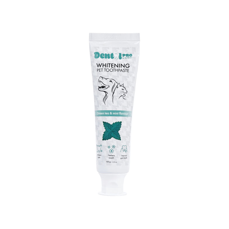 DENTAL CARE PRO WHITENING toothpaste Green tea&mint
