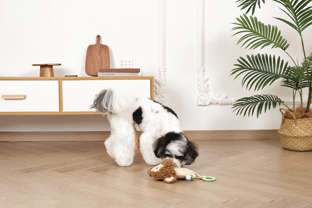 Slippers Dog toy Monkey