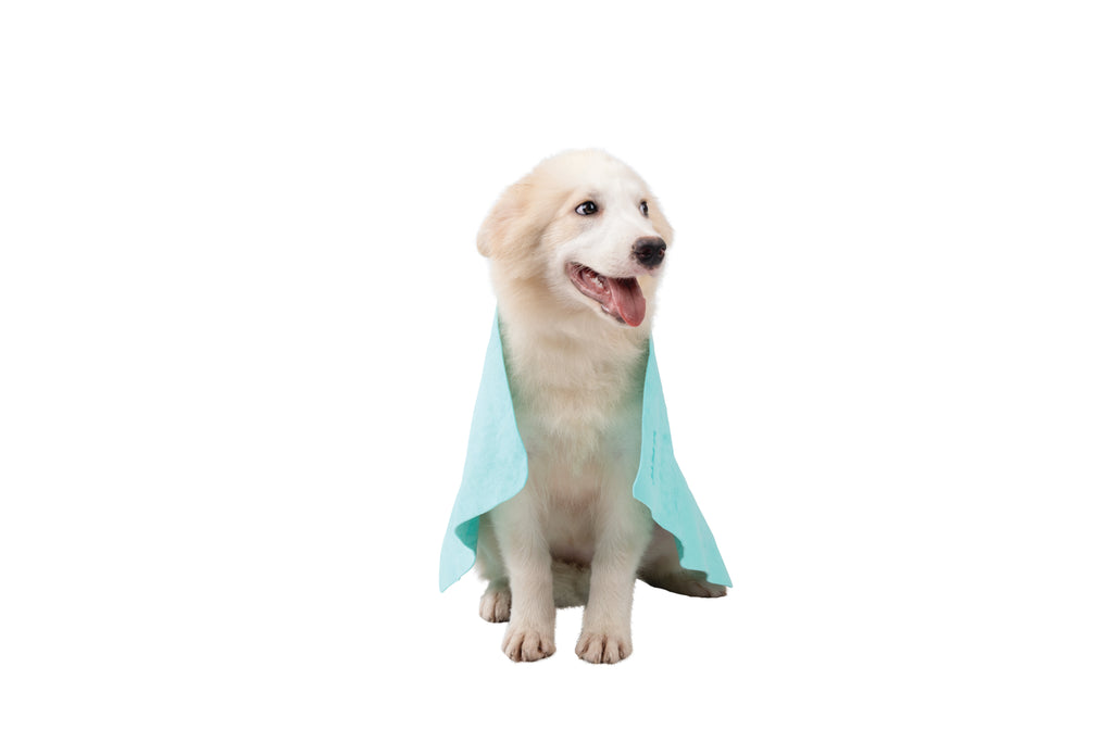 BATHTIME Quick-dry Towel for Cats and Dogs Green Bubble