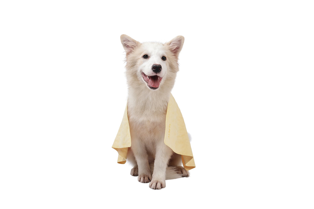 BATHTIME Quick-dry Towel for Cats and Dogs Yellow Bubble