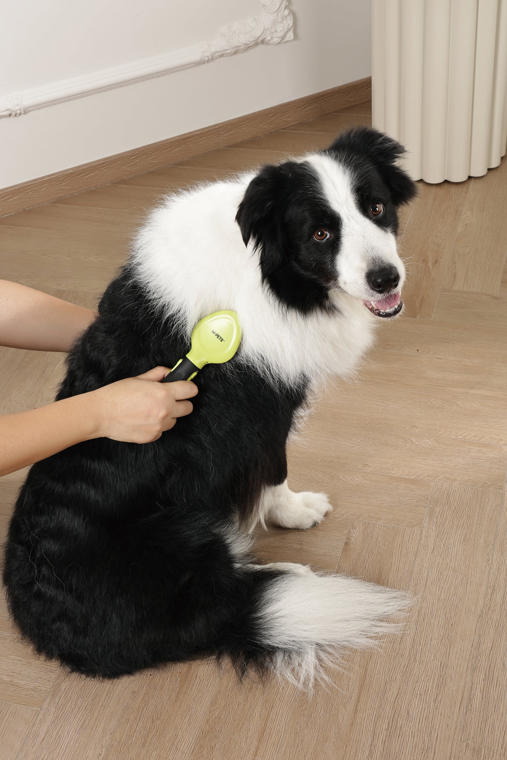 CLICK and GROOM Slicker Brush