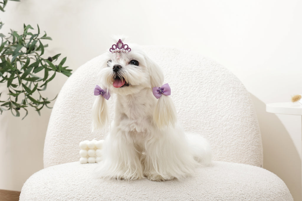 GLAM Accessori per capelli per animali clip e gomma - Viola