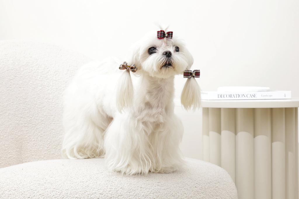 GLAM Accessori per capelli per animali clip e gomma - Rosso