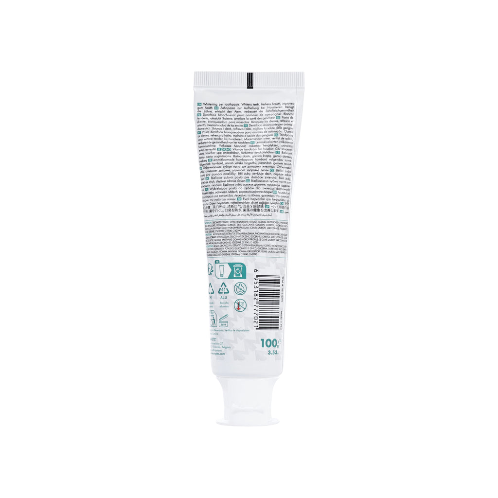 DENTAL CARE PRO WHITENING toothpaste Green tea&mint
