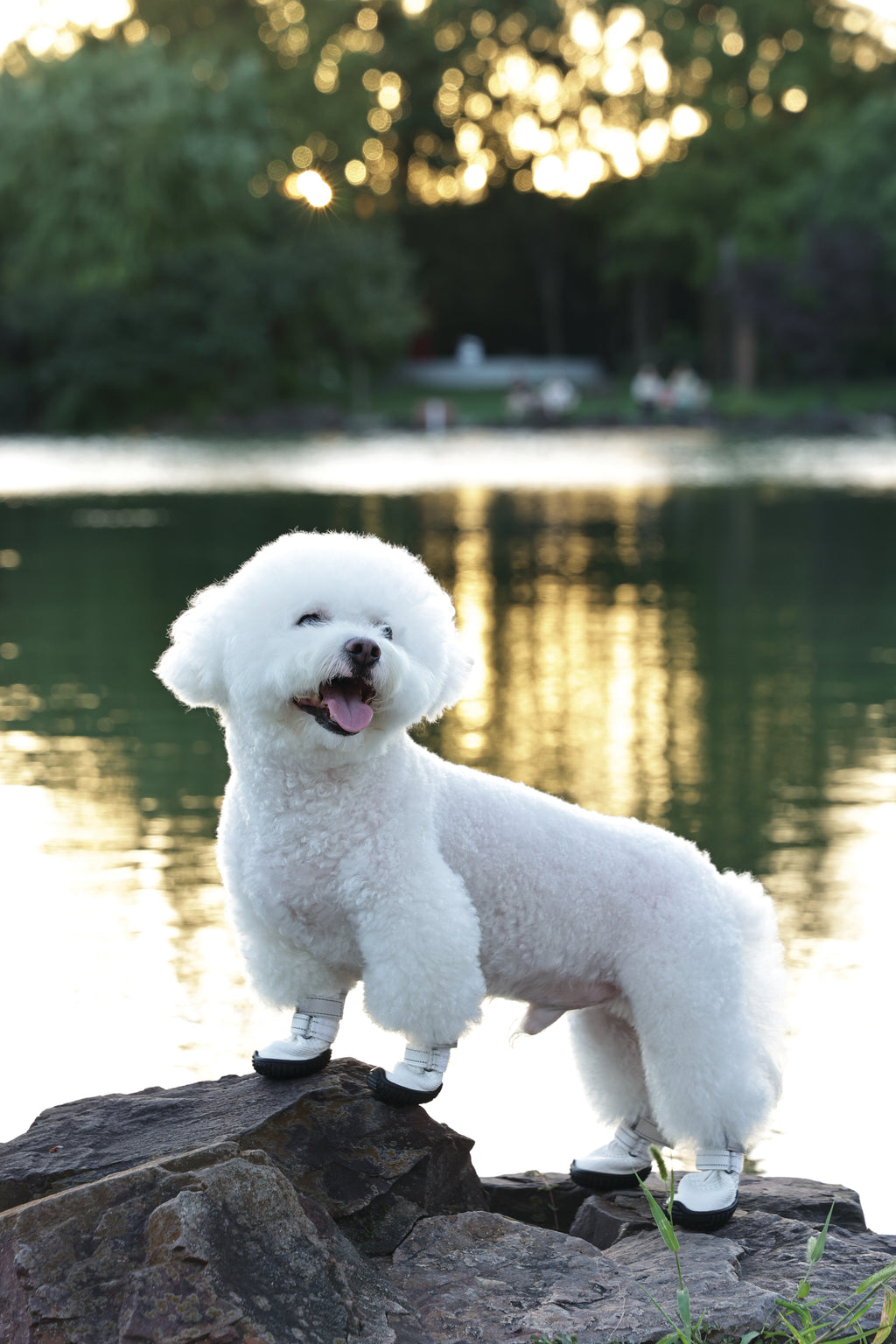 FLEXI SHOES Dog - White edition